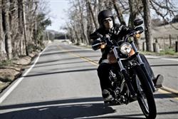 thl jako proutek, tvrd jako elezo: Nov Harley Davidson Softail