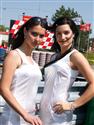 p4262883kocicky.jpg