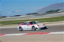T-Mobile_VICI_Racing_Porsche_911_GT3_RSR_1.jpg