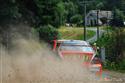 13_VYSOCINA_2010_23_ORSAK.jpg