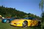 10�Corvette Day Praha 2010 objektivem Ji��ho Fialy