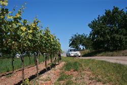 Jak jsem strávil pěknou soutěž v Hustopečích. Rallye mezi vinicemi pohledem (mladého) fandy