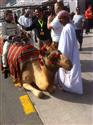 24 hodinovka v Dubaji 2012 - atmosféra, foto Josef Michl
