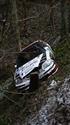 Janner rallye 2012 a havárie posádky Bisaha- Zachar