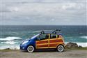spark-woody-2.jpg