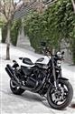 Harley Davison 2010