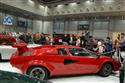 DSC__378.jpg
