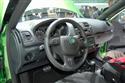 DSC_0214volantskoda.JPG