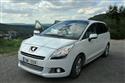 PEUGEOT_DEUTSCHLAND_2010_12.jpg