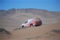 DSC_1291_resize.JPG