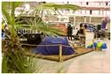 _MG_2299palmahummer.jpg