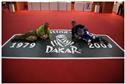 dakar 2009_0153.JPG