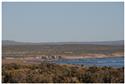 dakar 2009_0223.JPG