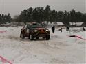 nort 2009 forest 041.jpg