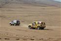 Dakar 2010: Czech Dakar Team  a celkový souhrn po 6. etapě. Pořád  se jelo z kopce