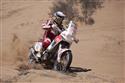 Dakar 2010 - 8. etapa fotografů CDT