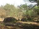 DSCN0897.JPG