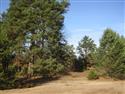 DSCN0915.JPG