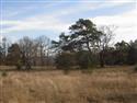 DSCN0920.JPG
