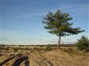 DSCN0942.JPG