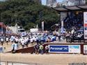 dakar2010_242.jpg