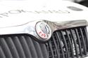 DSC_0397logoskoda.JPG