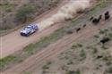 vw-110104-0061_ml.jpg