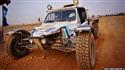 afr2012_507bugg.jpg