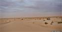 afr2012_565.jpg