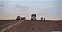 afr2012_579.jpg