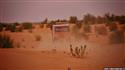 afr2012_627tomzad.jpg