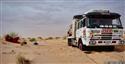 afr2012_567baleypr.jpg