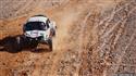 afr2012_309bugg.jpg