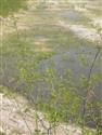 DSCN2347.JPG
