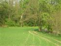 DSCN2396.JPG