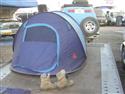 DSCN2490.JPG
