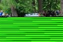 dob71_resize.jpg