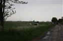 IMG_8372honicka.JPG