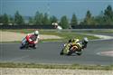 UEM Alpe Adria Championship 2008, foto pořadatelů