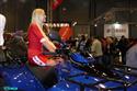 Motosalon Brno 2010 a kočičky, foto V. Klígl