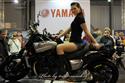 DSC_4074.jpg