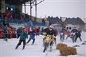 DSC_0136.JPG