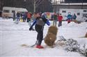 DSC_0269.JPG