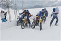 Fotovzpomínka na MČR v motoskijöringu 2010 objektivem Tondy Malého