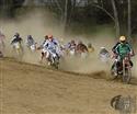 _MG_2506.JPG