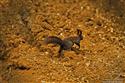IMG_1025.JPG