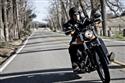 thl jako proutek, tvrd jako elezo: Nov Harley Davidson Softail