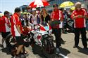 Aragon_ned_grid_057.jpg