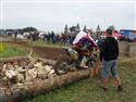 SDC10069.JPG