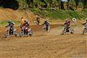 IMG_4574.JPG